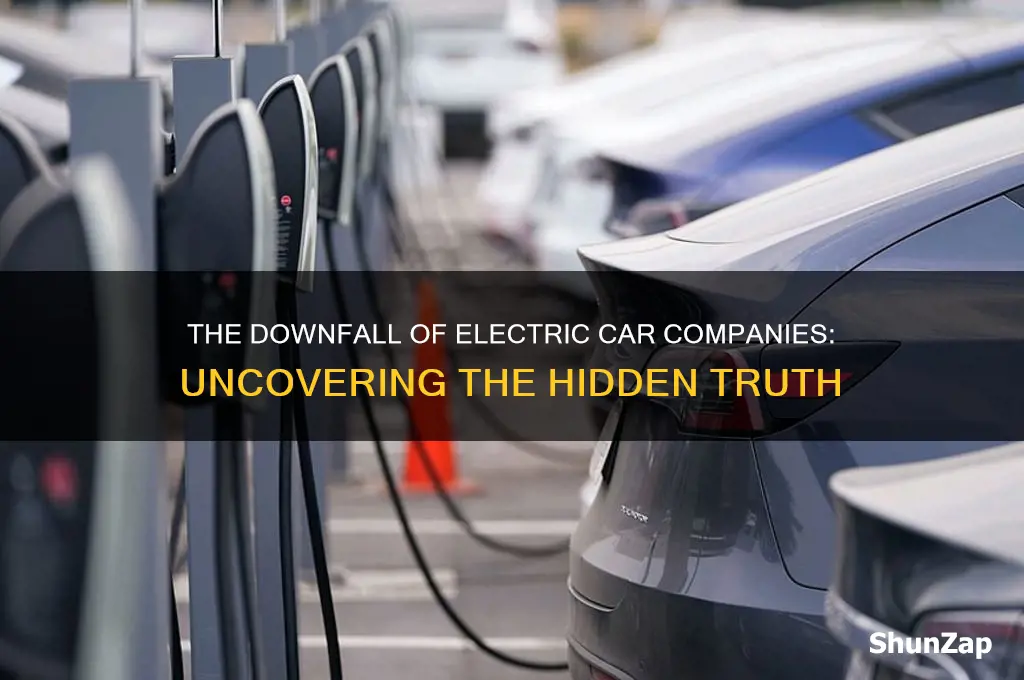 who killed the electric car company