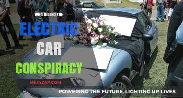 Unplugged: The Hidden Forces Behind the Electric Car's Demise
