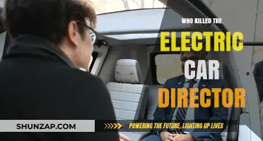 Who Killed the Electric Car? Director's Role in the Film's Impact