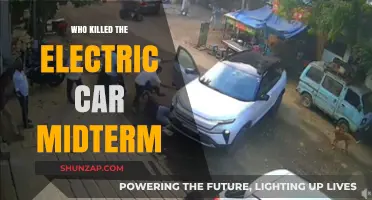 Who Killed the Electric Car? Midterm Analysis and Lessons Learned