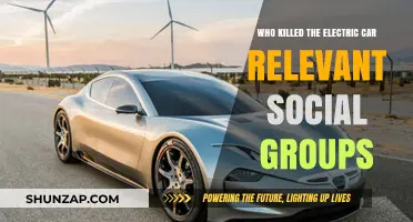 Who Killed the Electric Car? Exploring Key Social Groups' Roles