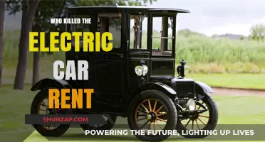 The Mysterious Disappearance of Electric Car Rentals: Who's to Blame?