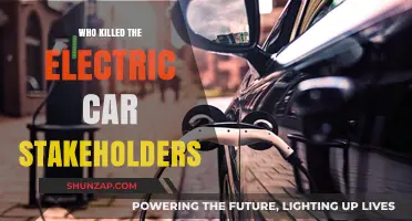 Who Killed the Electric Car? Uncovering Stakeholder Roles and Responsibilities