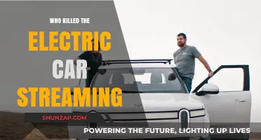 Who Killed the Electric Car? Streaming Platforms and the Documentary's Revival