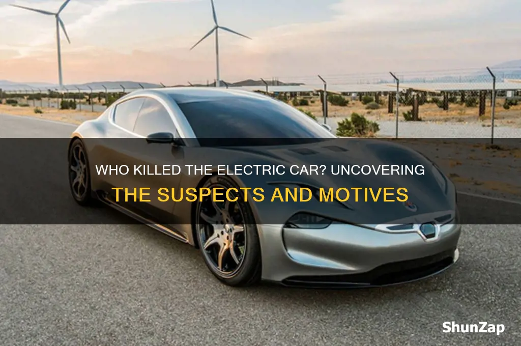 who killed the electric car suspects