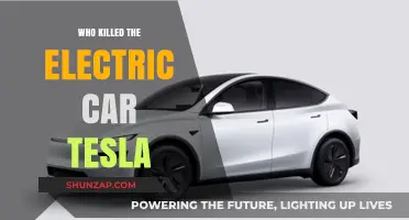 The Electric Car's Demise: Unraveling Tesla's Role in the Mystery