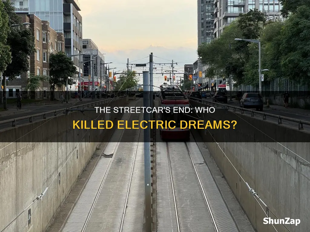 who killed the electric streetcar love earth