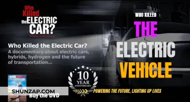 The Mystery of the Dead EV: Who Pulled the Plug?