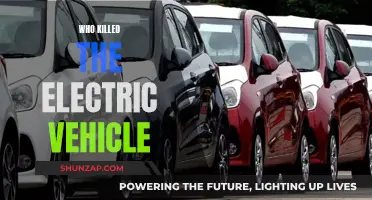 The Electric Vehicle: Who Killed Its Future?
