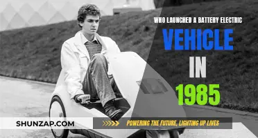 The Revolutionary 1985 Electric Car: Who Was First?