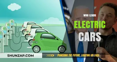Who Dominates the Electric Car Market? Top Leaders Revealed
