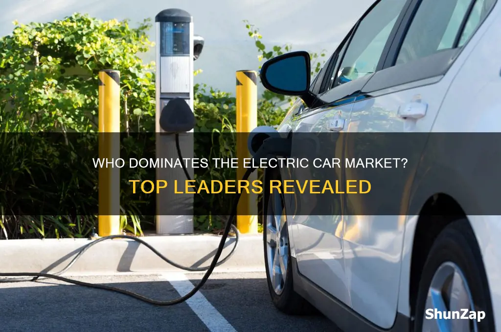 who leads electric cars