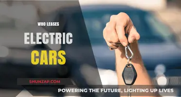 Who Leases Electric Cars? Exploring the Eco-Conscious Driver Profile