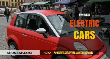 Who Likes Electric Cars? Exploring the Growing Fanbase and Why