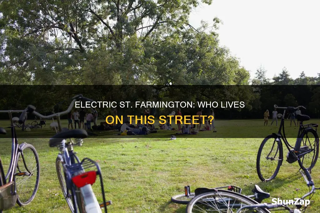 who lives at electric st farmington mo