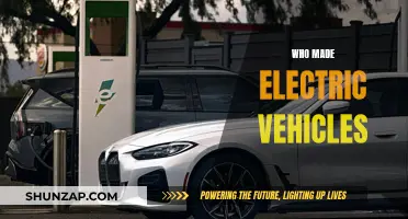 The Pioneers of Electric Vehicles: A Historical Overview