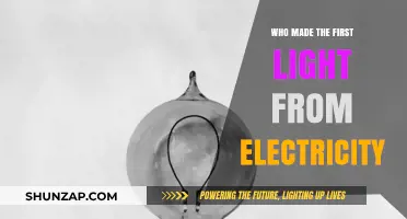 The First Electric Light: Who Was the Inventor?