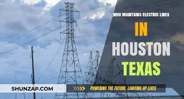 Electric Line Maintenance in Houston: Who's Responsible?