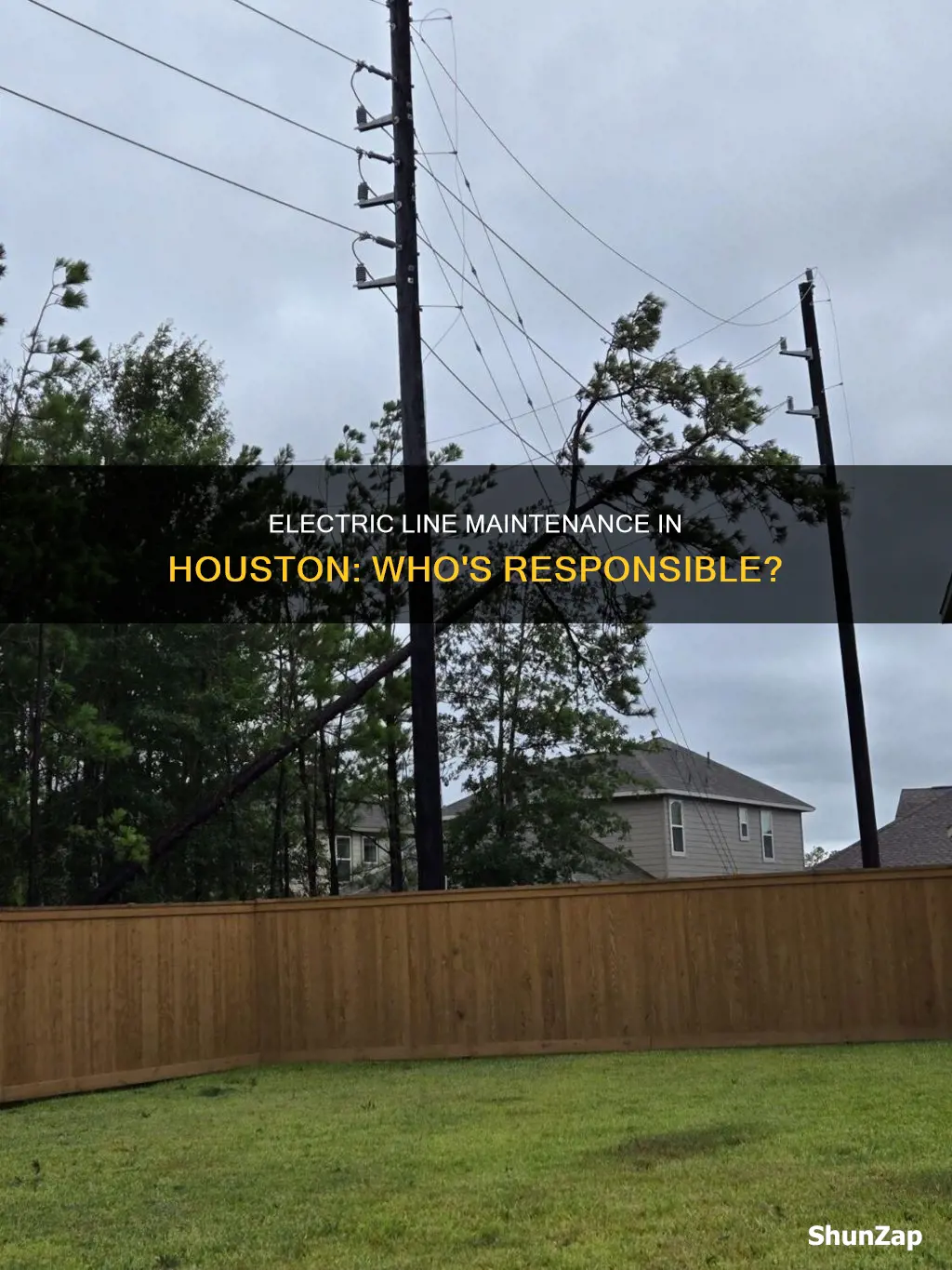 who maintains electric lines in houston texas