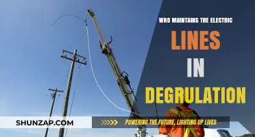 Electric Line Maintenance: Who's Responsible in Deregulation?
