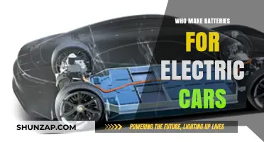 Who Powers Electric Vehicles? Exploring Top Battery Manufacturers