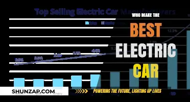 Top Electric Car Makers: Who Leads the EV Revolution?