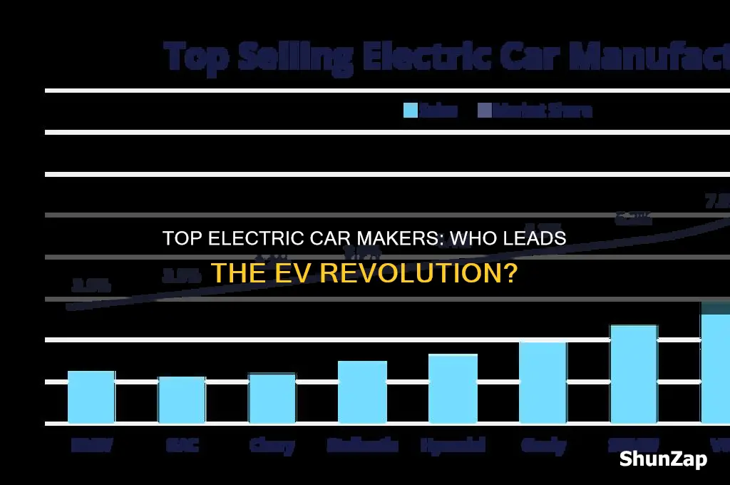 who make the best electric car