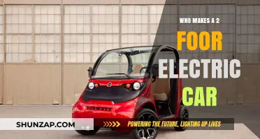 Exploring Manufacturers of Compact 2-Foot Electric Vehicles: Who Makes Them?