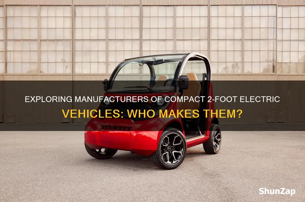 who makes a 2 foor electric car