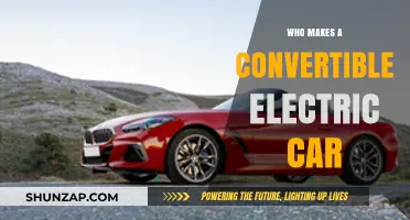 Top Convertible Electric Car Manufacturers: Who's Leading the Charge?