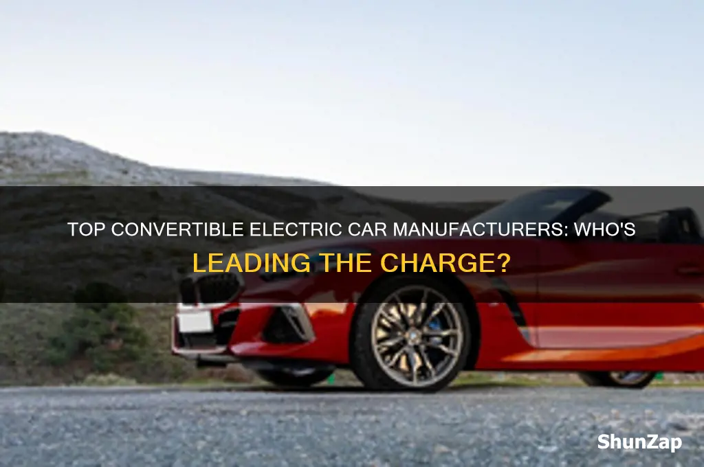 who makes a convertible electric car