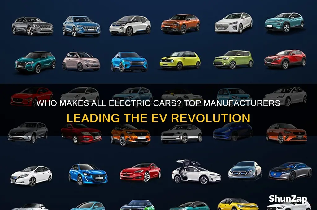 who makes all electric cars