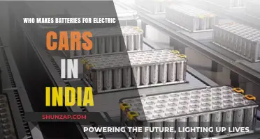 India's Electric Vehicle Battery Manufacturers: Leading the Charge in EV Innovation