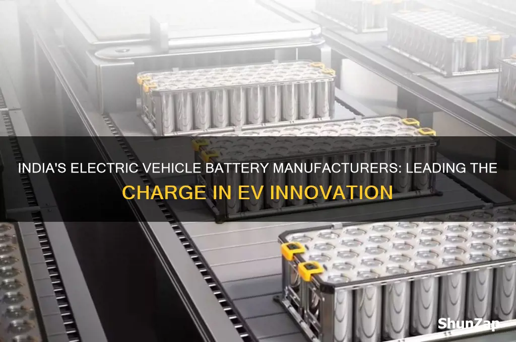 who makes batteries for electric cars in india