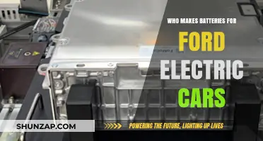 Who Supplies Ford's Electric Vehicle Batteries: A Comprehensive Manufacturer Guide