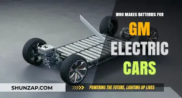 Who Supplies GM's Electric Vehicle Batteries: A Comprehensive Manufacturer Guide