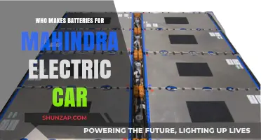 Mahindra Electric Car Batteries: Who Manufactures Them?