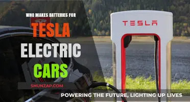 Who Supplies Tesla's Electric Car Batteries? A Comprehensive Manufacturer Guide
