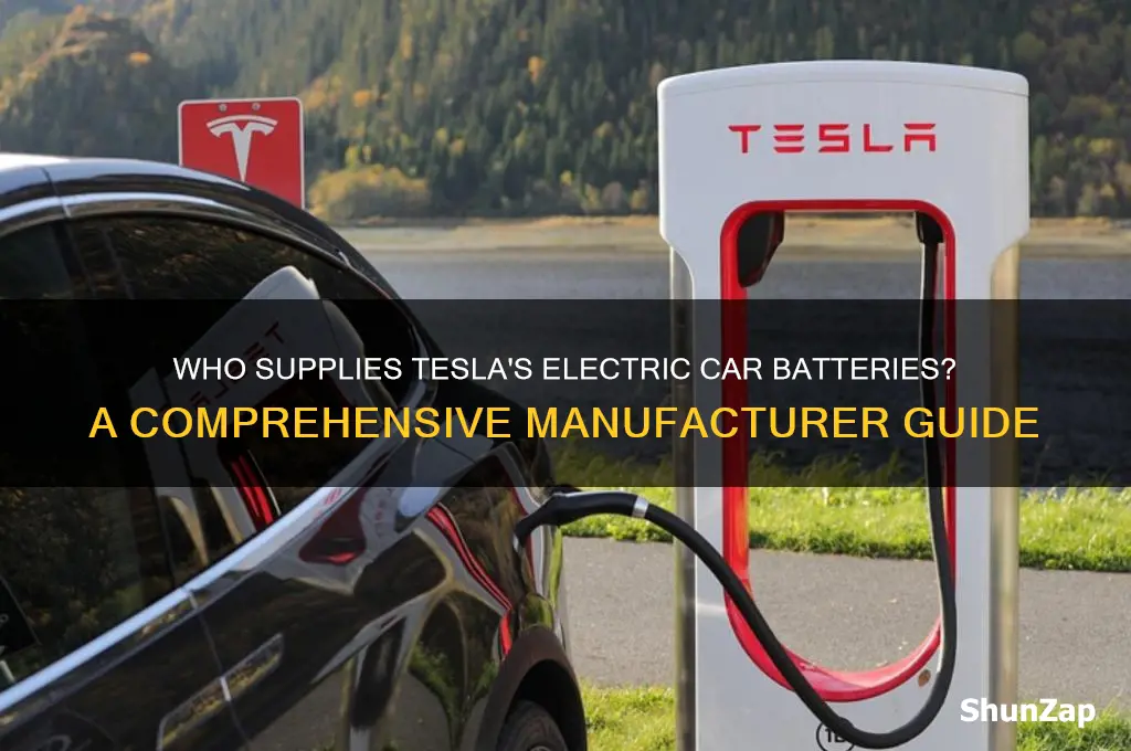 who makes batteries for tesla electric cars