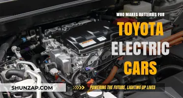 Who Supplies Toyota's Electric Car Batteries? A Comprehensive Manufacturer Guide