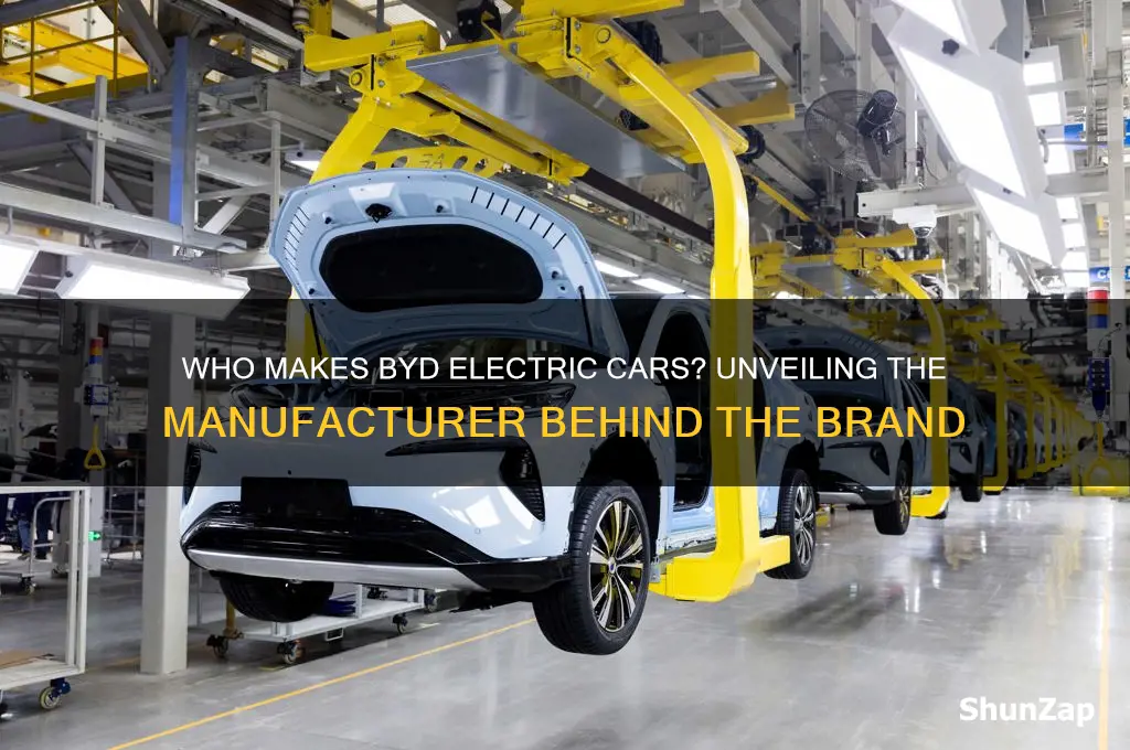 who makes byd electric cars