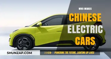 Exploring the Leading Manufacturers Behind China's Electric Vehicle Revolution
