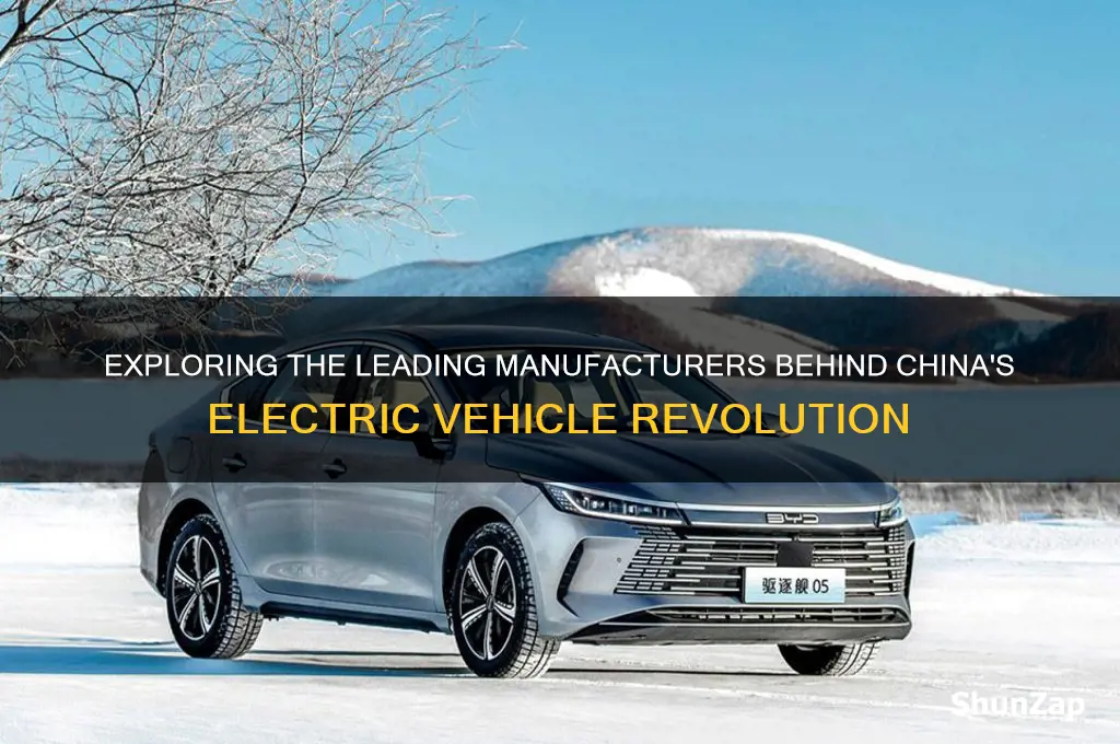 who makes chinese electric cars
