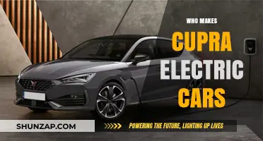 Who Crafts Cupra Electric Cars? Unveiling the Makers Behind the Brand