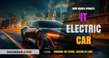 Who Manufactures the Dynasty Electric Car: Unveiling the Maker