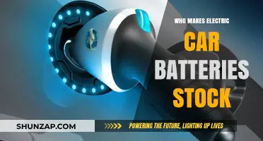 Who Makes Electric Car Batteries: Top Stock Players to Watch