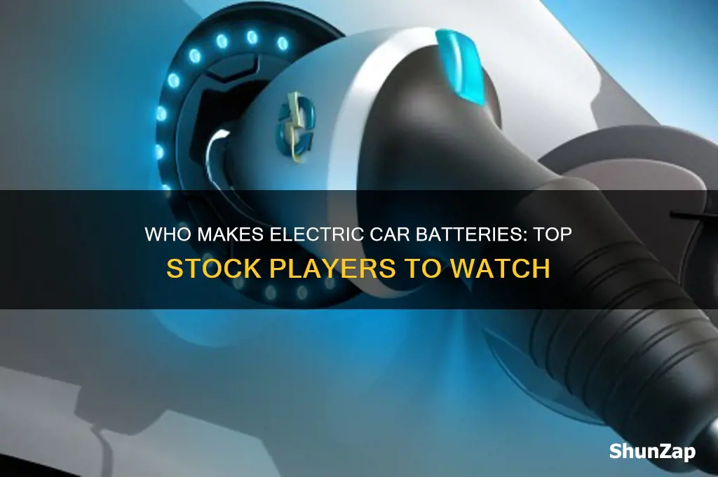 who makes electric car batteries stock