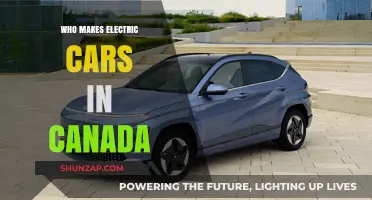 Canadian Electric Vehicle Manufacturers: Who's Leading the Charge in Canada?