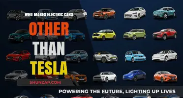 Beyond Tesla: Exploring Top Electric Vehicle Manufacturers Worldwide