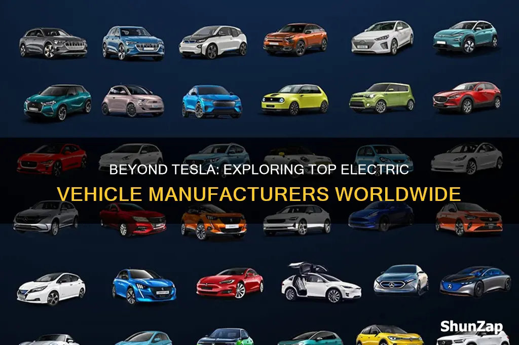 who makes electric cars other than tesla